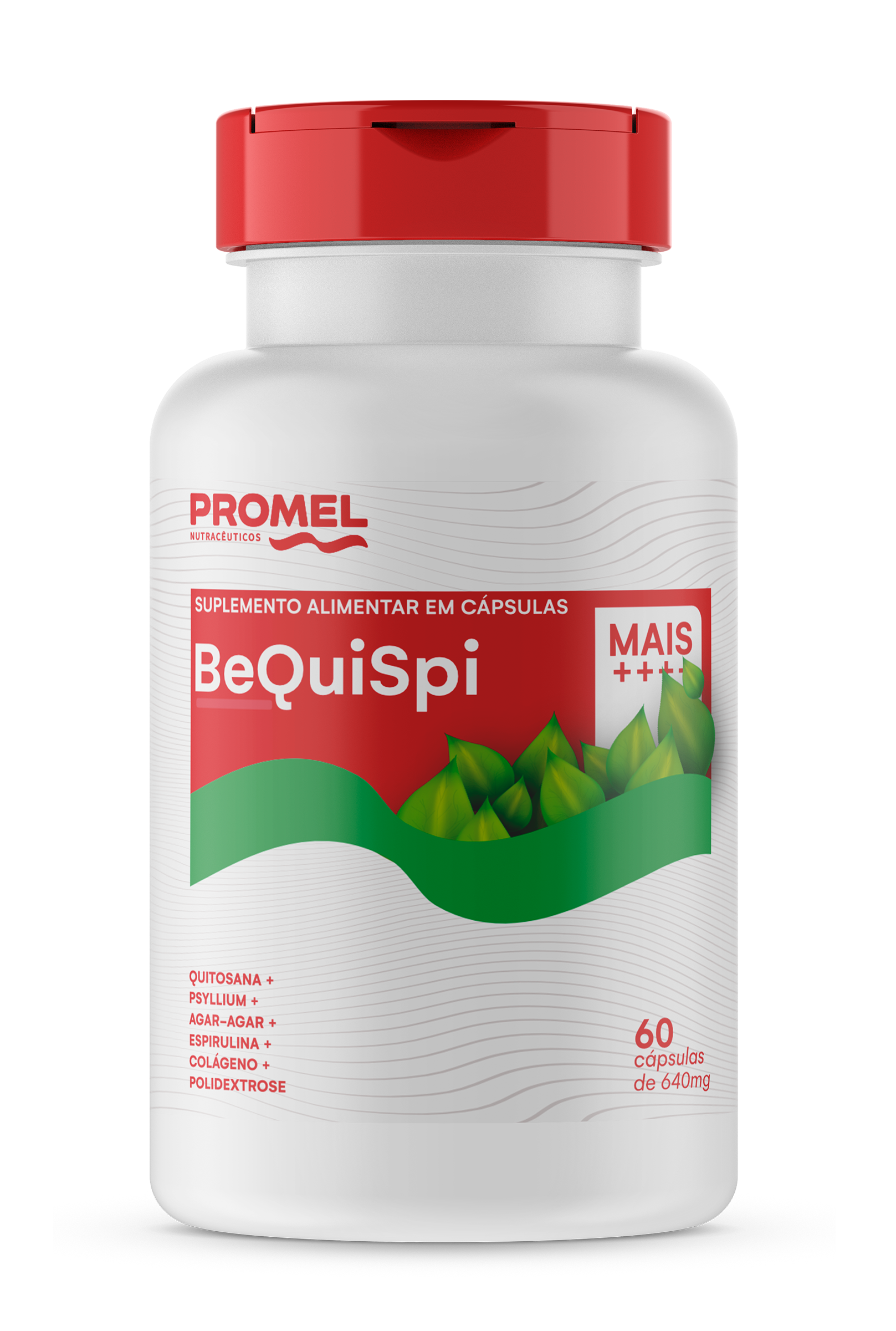 BEQUISPI 1
